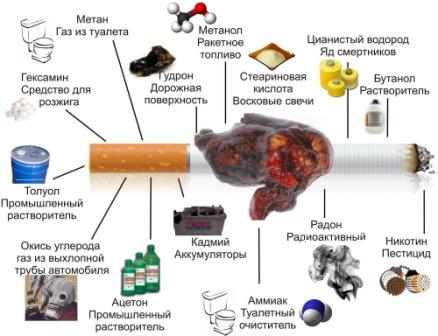 О вреде табака